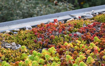 the cost of Little Wilbraham green roof installation