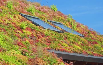 Little Wilbraham living roof systems