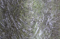 Little Wilbraham fibreglass roof work